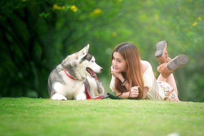 链分析：现状、痛点、需求、趋势CQ9电子游戏宠物食品行业产业(图2)