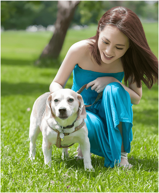 链分析：现状、痛点、需求、趋势CQ9电子游戏宠物食品行业产业(图3)