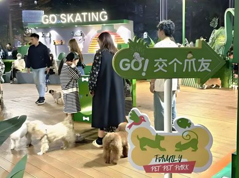 鲜生丨宠物坐高铁侯毅下厨房CQ9电子版入口实探派特(图2)
