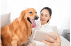 链分析：现状、痛点、需求、趋势CQ9电子